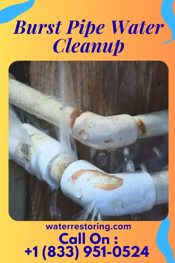 Burst Pipe Water Cleanup in Golden, IL
